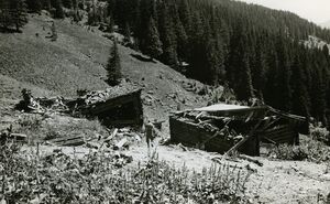 Erdlahn Stallaalm 1967 03.jpg