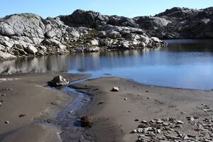 Goldlacken 0271 2013-10-08.jpg