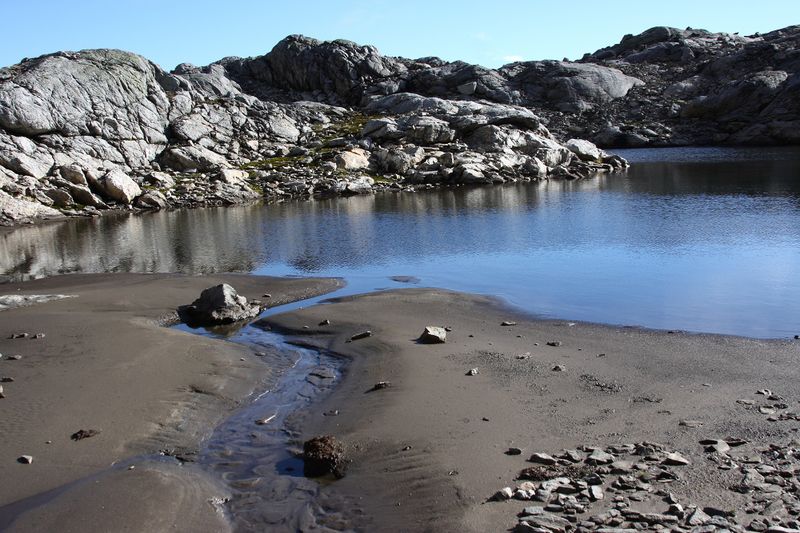 Datei:Goldlacken 0271 2013-10-08.jpg