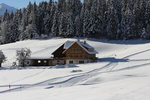Haslehnerhof ramsau 17029 2016-01-18.jpg