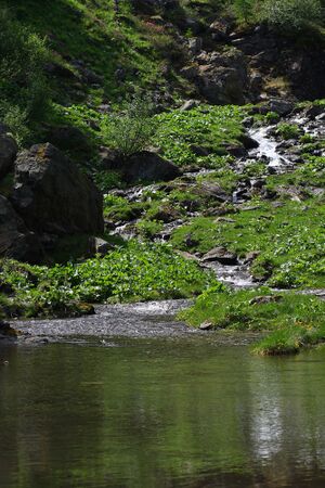 Im wildkar 23545 2008-06-26.jpg