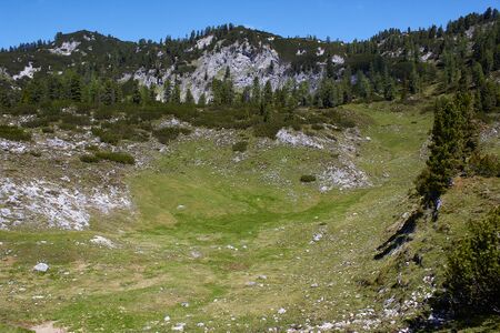 Kessel plankenalm-1002-2022-06-12.jpg