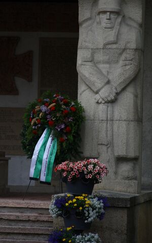 Kranzniederlegun ökb-schladming 27758 2016-06-25.jpg