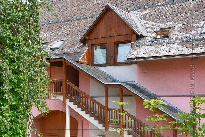 Datei:Trieben 03.jpg