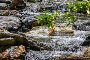 Walchenbach 99837 2015-06-07.jpg