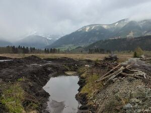 Frauenberger Torfstich70270.JPG