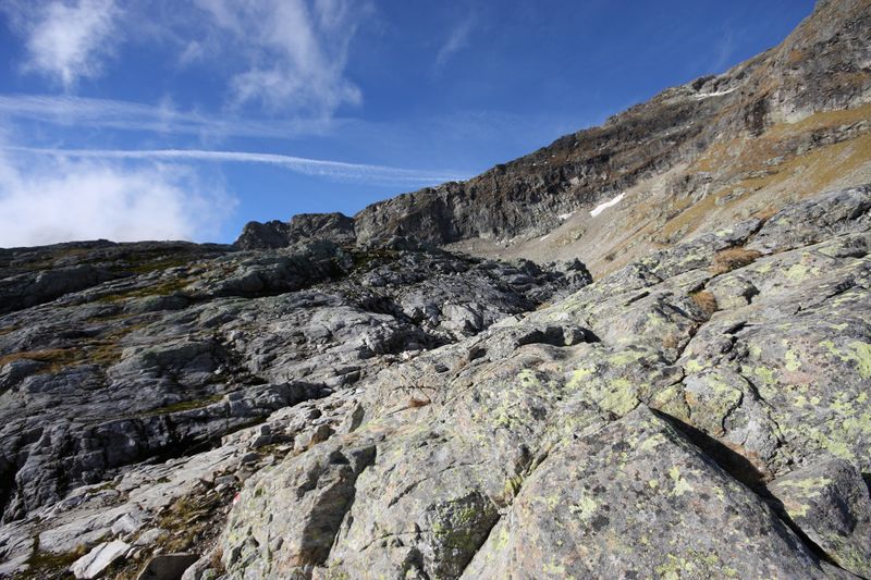 Datei:Goldlacken 0223 2013-10-08.jpg