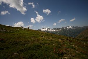 Im hüttkar 39652 2012-06-29.jpg