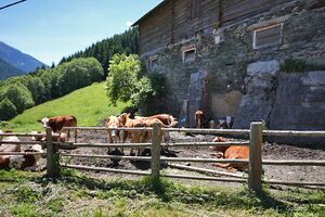 Ladreiter vlg bauer0016.jpg