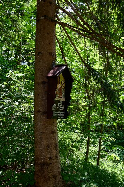 Datei:MA Gipsbruch-0244-2023-06-01.jpg