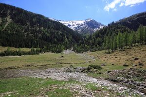 Sattental 45891 2017-05-19.jpg