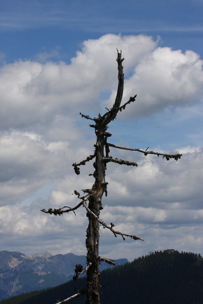 Datei:Schobersee 93158 2015-06-26.jpg