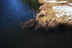 Spechtensee 62889 2017-10-31.jpg