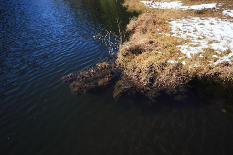 Datei:Spechtensee 62889 2017-10-31.jpg