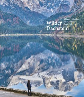 Wilder dachstein.jpg