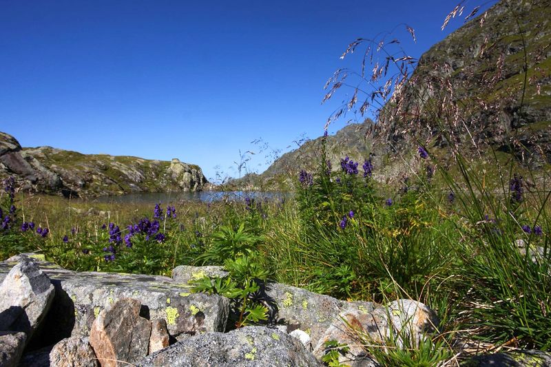 Datei:Wildlochsee 35718 2011-08-23.jpg
