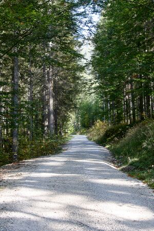 Asandstraße Riesenalm-0253-2023-10-13.jpg