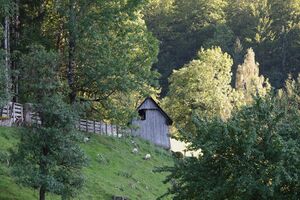 BH winter lainbach-1003-2012-08-20.jpg