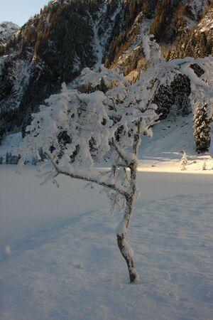 Bodensee 26573 2014-01-01.jpg