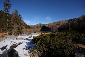 Duisitzkarsee 14362 2011-11-30.jpg