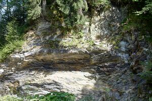 Geologische Formation walchen-10-2023-08-25.jpg