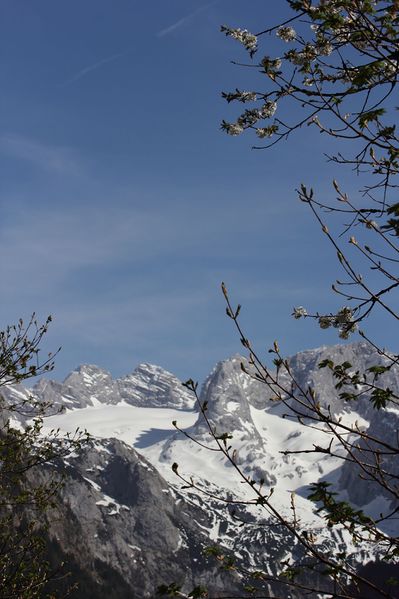 Datei:Gr.gosaugletscher -v.gosausee 80483 2018-04-25.jpg