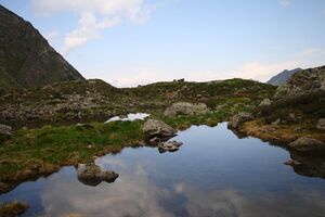 Im wildkar 23777 2008-06-26.jpg