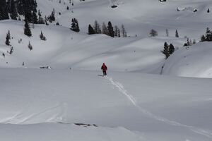 Innere alm 3100 2009-03-22.jpg