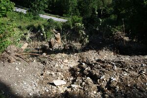 Ramsauer strasse 67100 2014-08-02.jpg