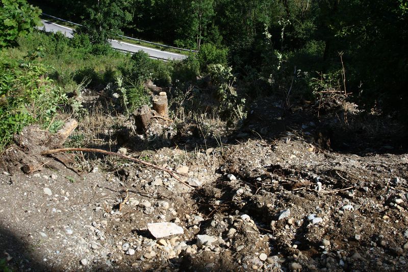 Datei:Ramsauer strasse 67100 2014-08-02.jpg