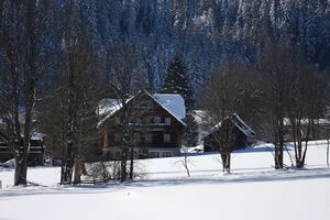 Schrempfhof ramsau 17425 2016-01-18.jpg