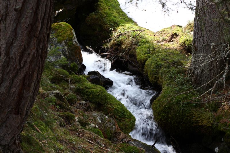 Datei:Strickerbach im strickerkar 55424 2014-05-02.jpg