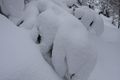 Unt neudeggalm 22.12.2011 2248.jpg