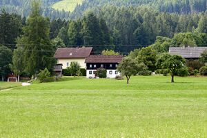 Vlg gaspar in Schrott-0402-2023-06-16.jpg