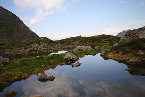 Wildkar 1941 2008-06-26.jpg