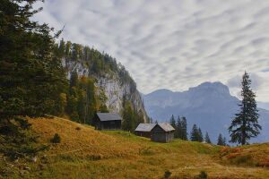 Ausseer sandlingalm-0060-2021-10-11.jpg
