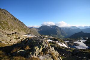 Goldlacken 0442 2008-08-12.jpg