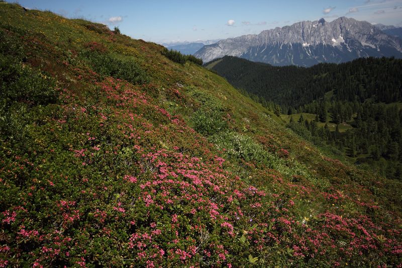 Datei:Gumpenkar 54476 2017-07-05.jpg