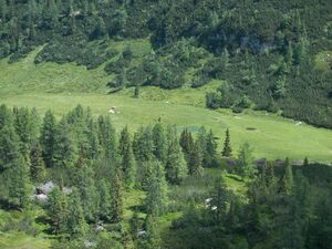 Gumpenkar 54539 2007-06-19.jpg