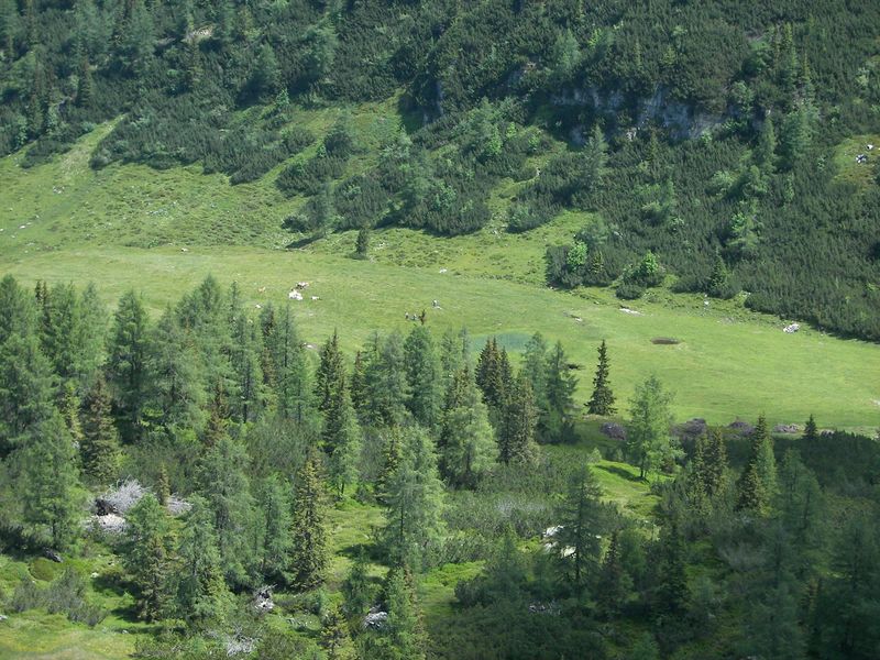 Datei:Gumpenkar 54539 2007-06-19.jpg