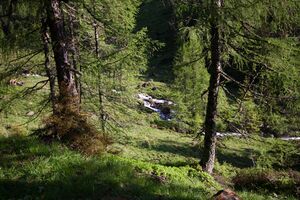 Katschtal 92558 2013-06-16.jpg