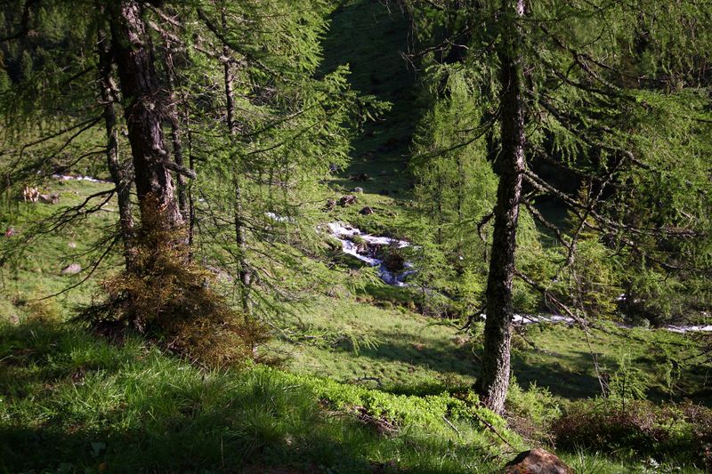 Datei:Katschtal 92558 2013-06-16.jpg