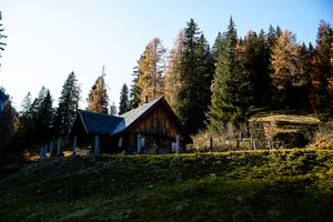 Lampoltenalm-0222-2020-11-06.jpg