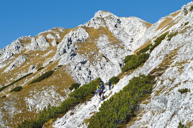 Datei:Natterriegel (©EK).jpg