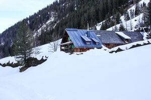 Ramertalalm-1000-2014-02-26.jpg