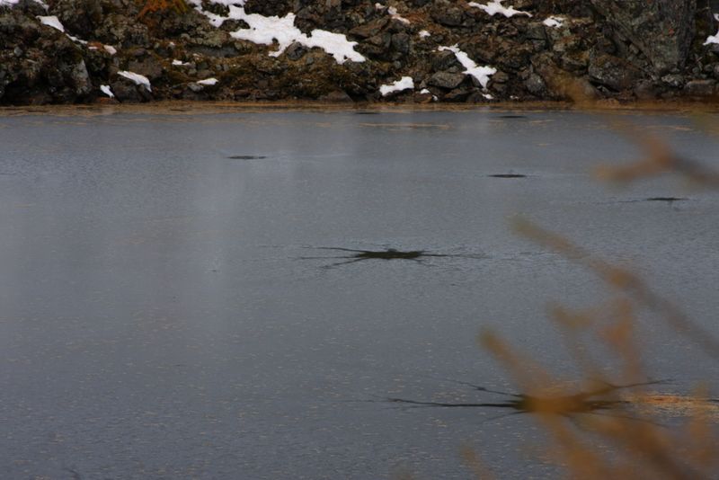 Datei:Seeriessee 0523 2013-10-27.jpg