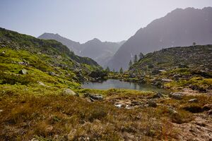 Stegerkarsee-2017-2021-06-21.jpg