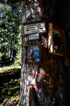 Totes gebirge-1144-2020-11-06.jpg