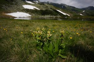 Unterer schobersee 1414 13-07-10.jpg