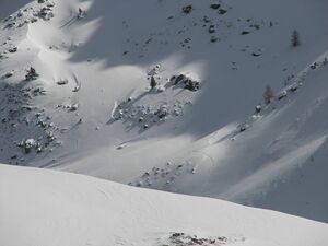 Wildkar 2462 2007-03-05.jpg